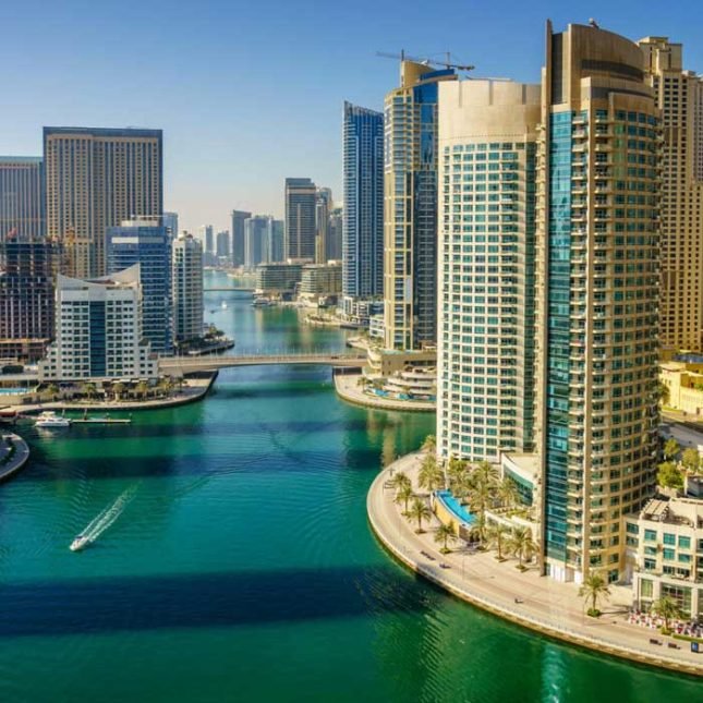 Digital Grocery – UAE